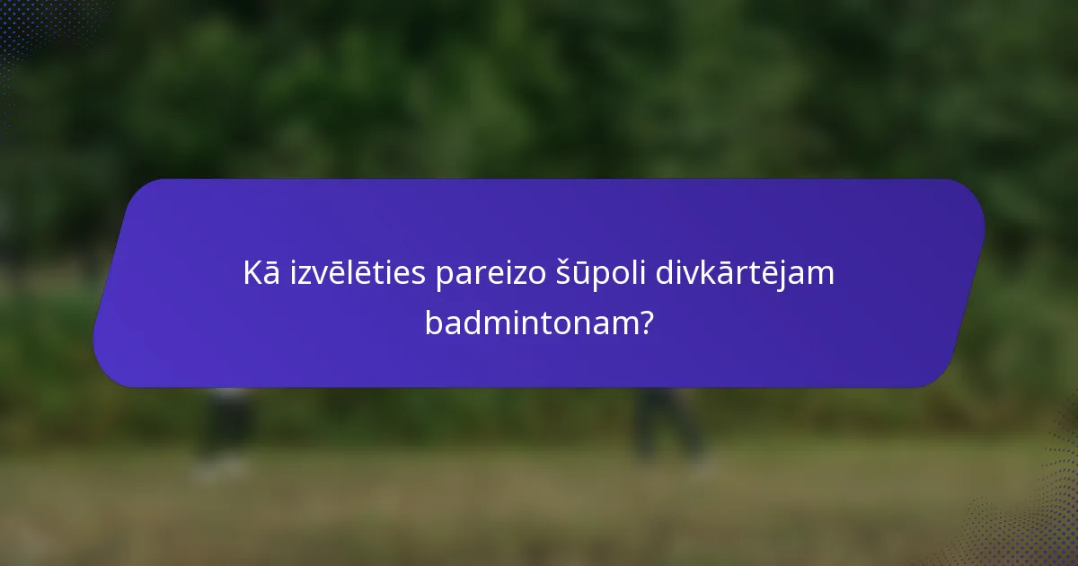 Kā izvēlēties pareizo šūpoli divkārtējam badmintonam?